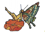 Young Adult Book Links